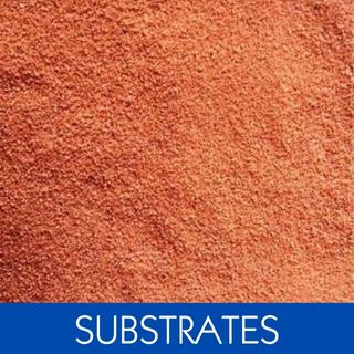 SUBSTRATES