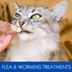 FLEA & WORMING