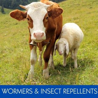 WORMERS & INSECT REPELLENTS