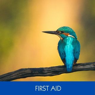 FIRST AID