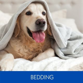 BEDDING