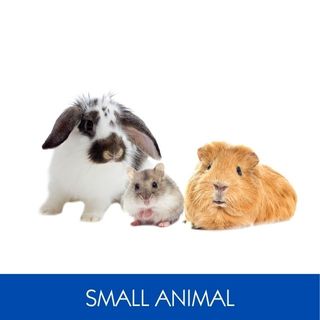 SMALL ANIMAL