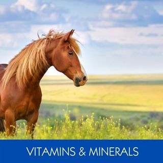 VITAMINS & MINERALS