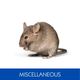 MISCELLANEOUS