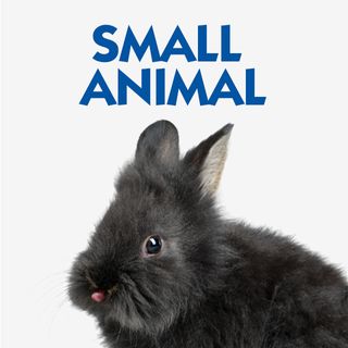 SMALL ANIMAL