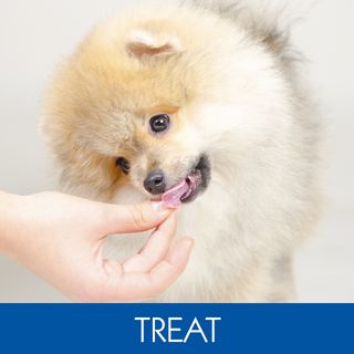 TREAT