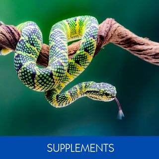 SUPPLEMENTS