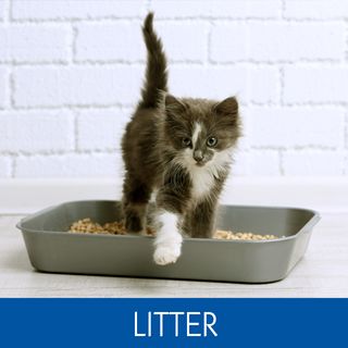 LITTER