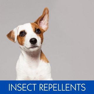 WORMERS & INSECT REPELLENTS