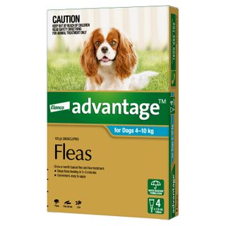 ADVANTAGE MEDIUM DOG 4-10KG 4PACK