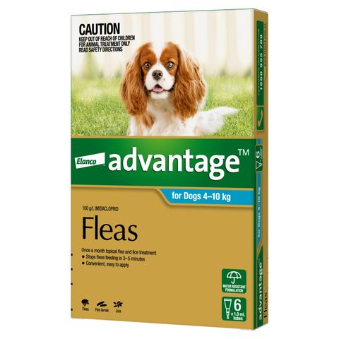 ADVANTAGE MEDIUM DOG 4-10KG 6PACK