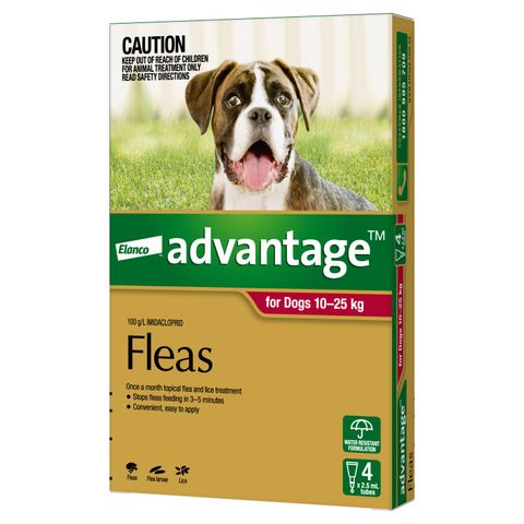 ADVANTAGE LARGE DOG 10-25KG 4PACK