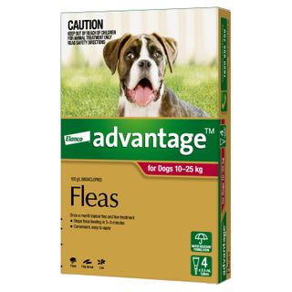 ADVANTAGE LARGE DOG 10-25KG 4PACK