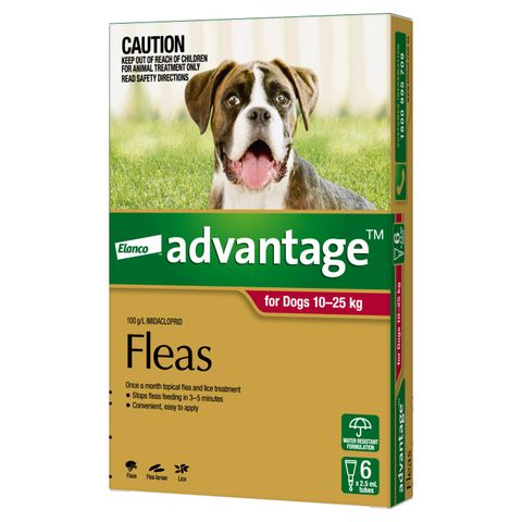 ADVANTAGE LARGE DOG 10-25KG 6PACK