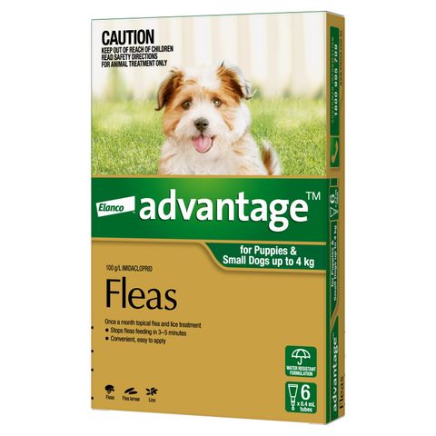 ADVANTAGE SMALL DOG 0-4KG 6PACK