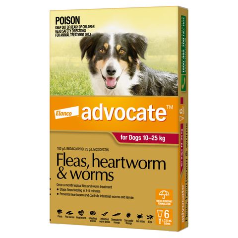 ADVOCATE DOG LARGE RED 10-25KG 6PACK