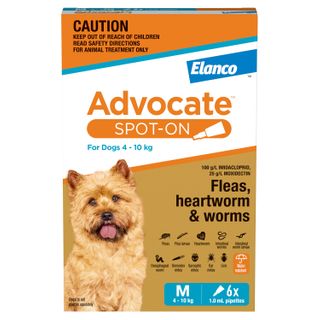 ADVOCATE DOG MEDIUM AQUA 4-10KG 6PACK