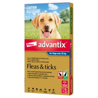 ADVANTIX EX LARGE DOG >25KG GREY 6PACK