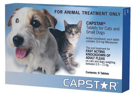 CAPSTAR 11MG CATS/SMALL DOG BLUE 6TAB