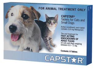 CAPSTAR 11MG CATS/SMALL DOG BLUE 6TAB