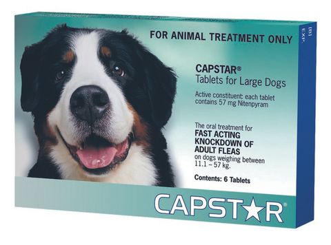 CAPSTAR 57MG LARGE DOG GREEN 6TAB