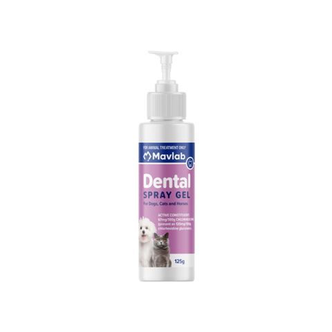 FIDOS DENTAL SPRAY GEL 125G P2100