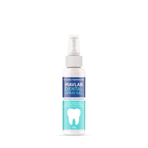 FIDOS DENTAL SPRAY GEL 125G P2100