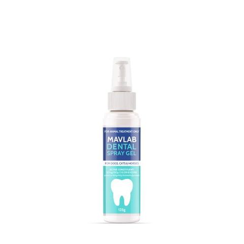 FIDOS DENTAL SPRAY GEL 125G P2100