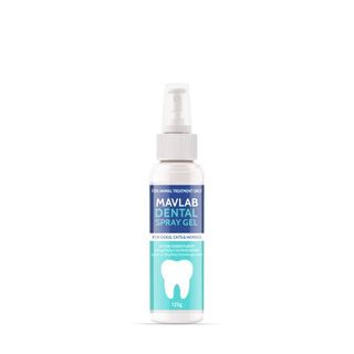 FIDOS DENTAL SPRAY GEL 125G P2100