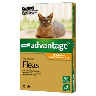ADVANTAGE SMALL CAT 0-4KG 4PACK