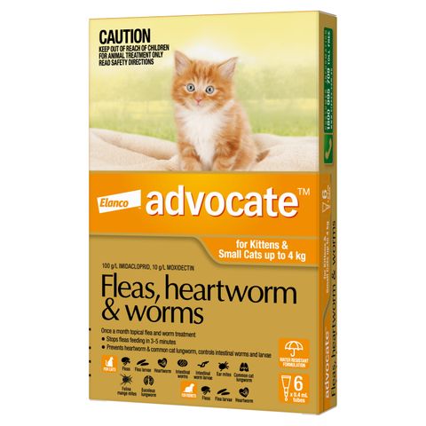 ADVOCATE CAT SMALL ORANGE 0-4KG 6PACK