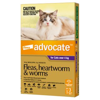 ADVOCATE CAT LARGE PURPLE OVER 4KG 3PACK