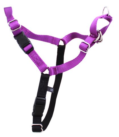 Gentle Leader Harness With Front Leash Attachment Medium Purple