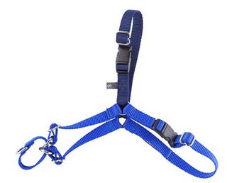Gentle Leader Harness With Front Leash Attachment Large Blue