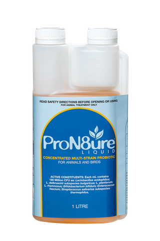 INTERNATIONAL ANIMAL HEALTH PRON8URE LIQUID 1L (PROTEXIN)