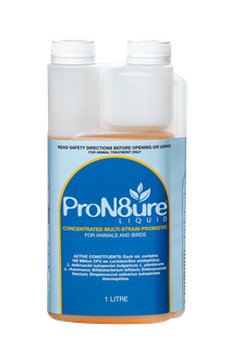 INTERNATIONAL ANIMAL HEALTH PRON8URE LIQUID 1L (PROTEXIN)