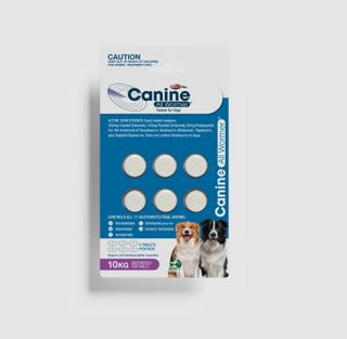 VALUEPLUS CANINE DOG 10KG 6TABS
