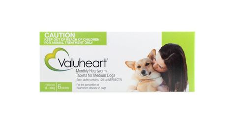 VALUHEART MEDIUM DOG GREEN 6TAB