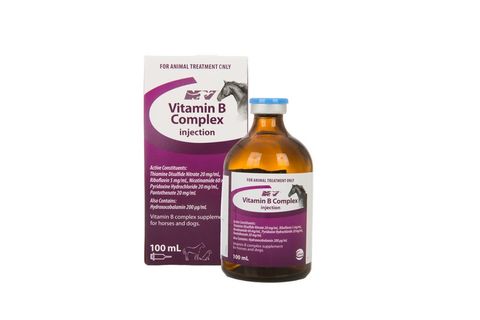 CEVA VITAMIN B COMPLEX 100ML