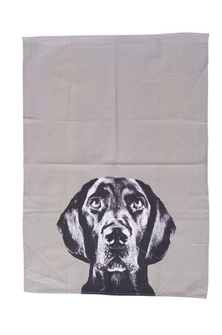 MOG AND BONE TEA TOWEL LABRADOR