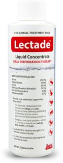LECTADE CONCENTRATE 250ML