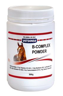 VETSENSE VITAMIN B COMPLEX 500G