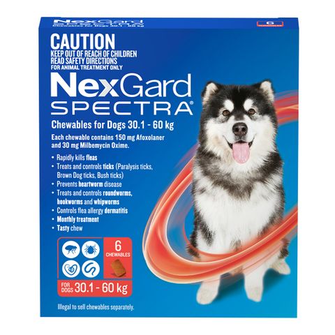 NEXGARD SPECTRA 30.1-60KG 6PACK