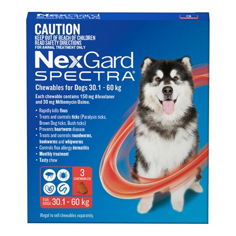 NEXGARD SPECTRA 30.1-60KG 3PACK