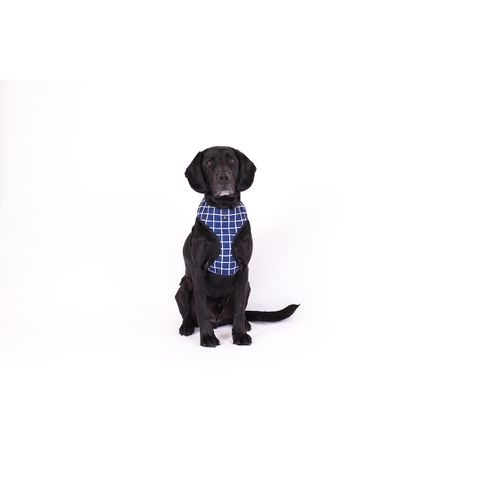 MOG AND BONE NEOPRENE HARNESS NAVY CHECK XL