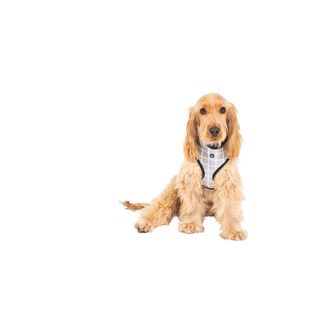 MOG AND BONE NEOPRENE HARNESS GREY CHECK SMALL