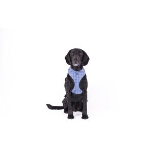 MOG AND BONE NEOPRENE HARNESS NAVY LINEN SMALL