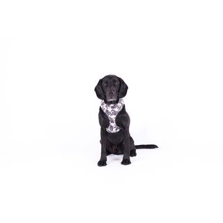 MOG AND BONE NEOPRENE HARNESS BLACK LEAF SMALL