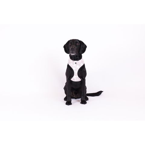 MOG AND BONE NEOPRENE HARNESS MOCCA LEAF MEDIUM