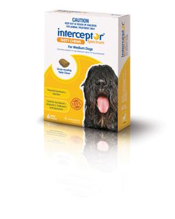 INTERCEPTOR MEDIUM 11-22KG YELLOW 6PACK